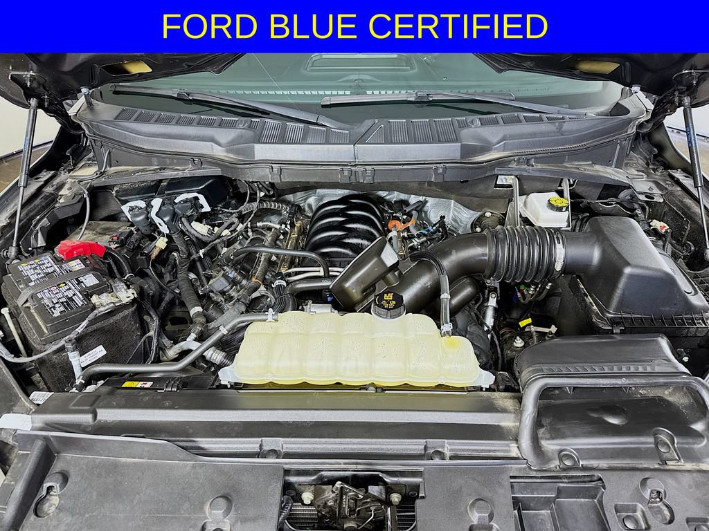 Certified 2025 Ford F150 STX w/ STX Black Appearance Package RWD image 31
