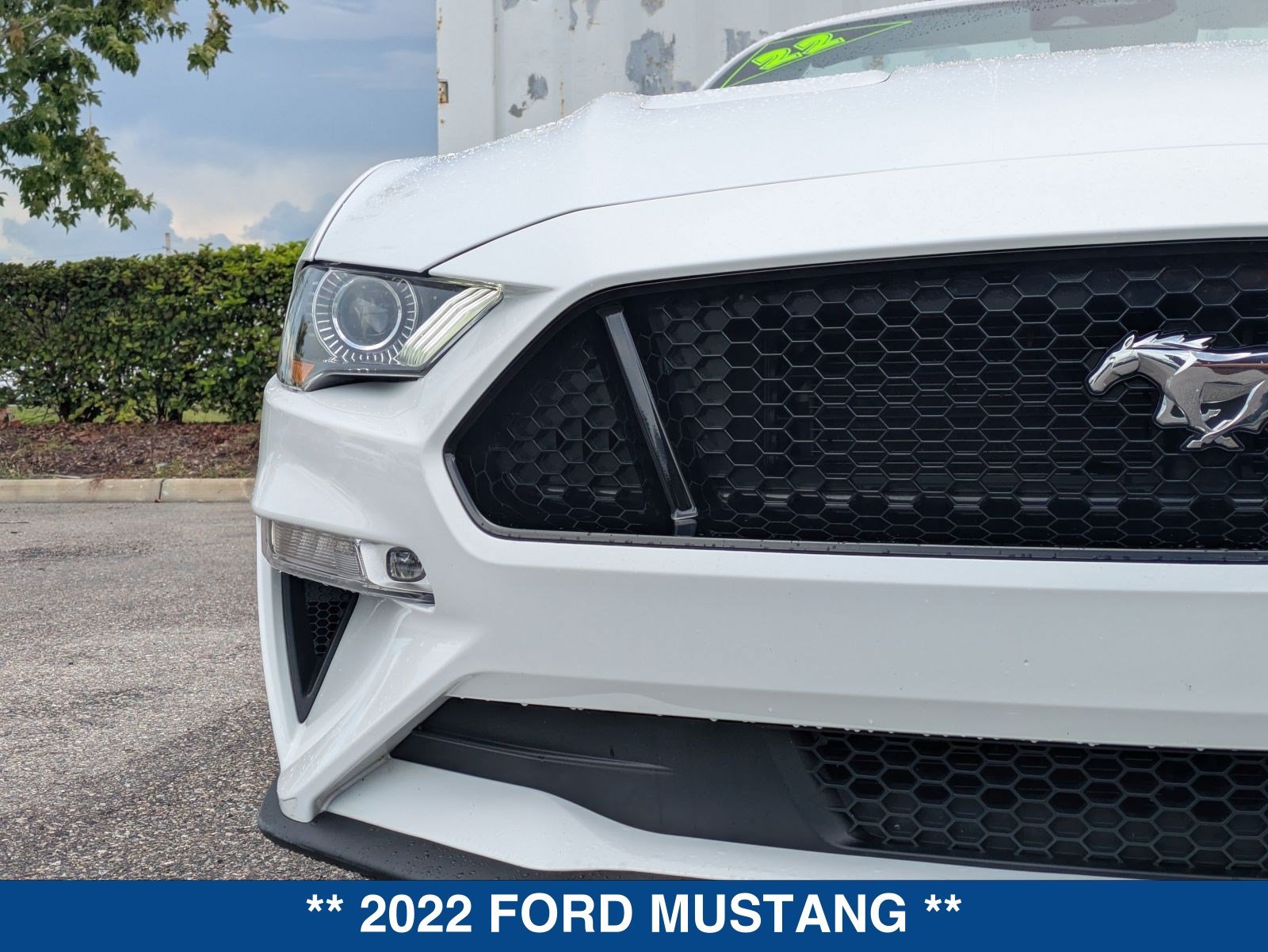 Certified 2022 Ford Mustang GT Premium w/ Equipment Group 401A RWD image 9