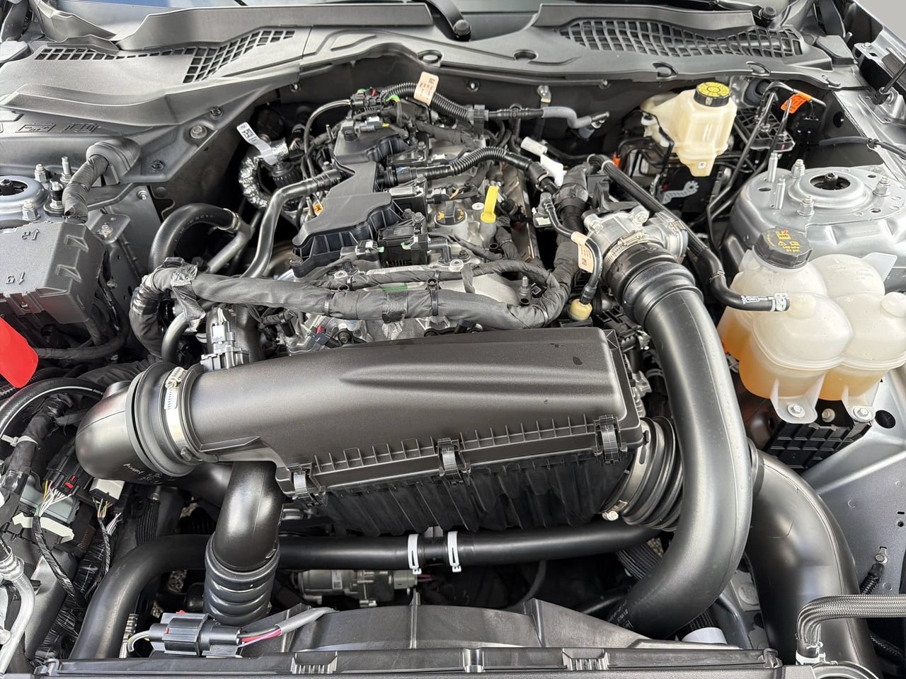 Certified 2026 Ford Mustang Coupe RWD image 10