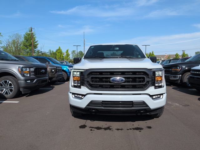 Certified 2023 Ford F150 XLT w/ Equipment Group 302A High AWD/4WD image 2
