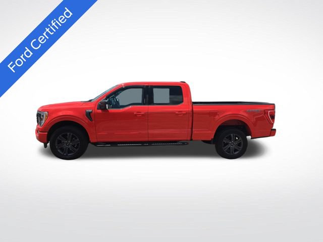 Certified 2023 Ford F150 XLT w/ Equipment Group 302A High AWD/4WD image 2