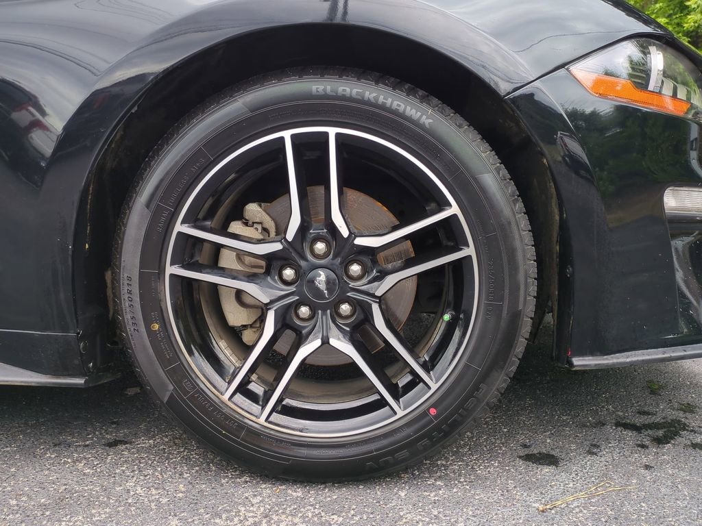 Certified 2023 Ford Mustang Premium RWD image 13