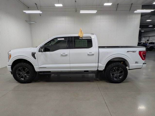 Certified 2023 Ford F150 XLT w/ Equipment Group 302A High image 1