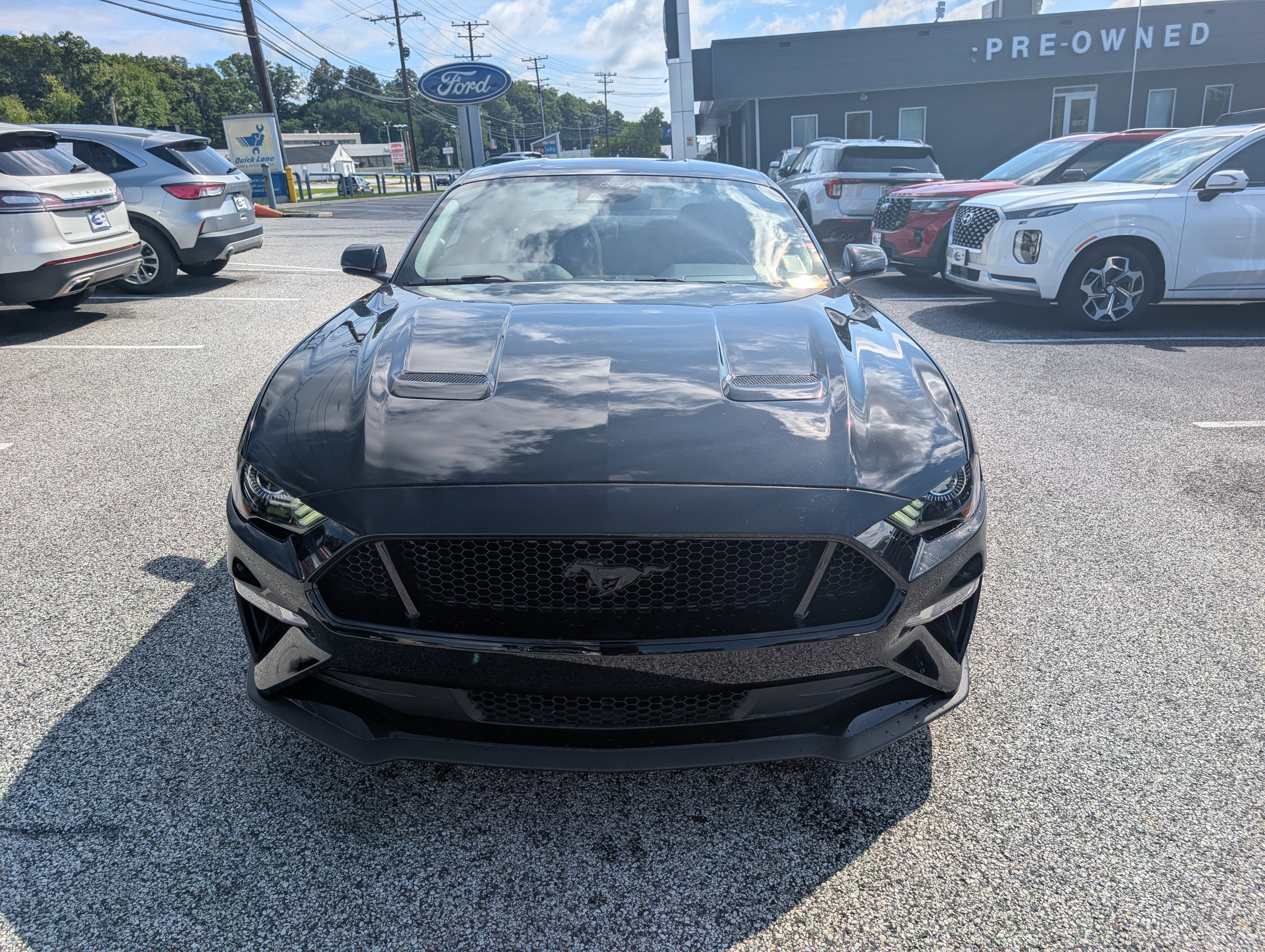 Certified 2022 Ford Mustang GT w/ Equipment Group 301A RWD image 10