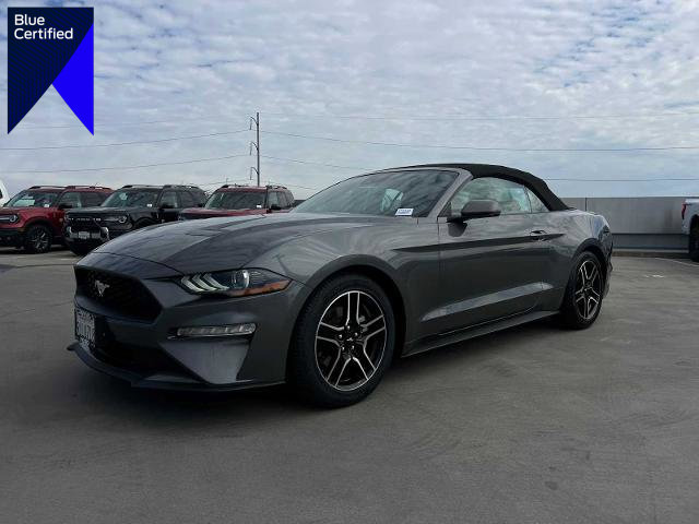 Certified 2023 Ford Mustang Premium w/ Equipment Group 201A image 1