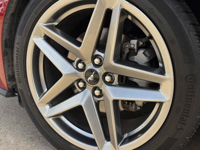 Certified 2024 Ford Mustang Premium RWD image 11