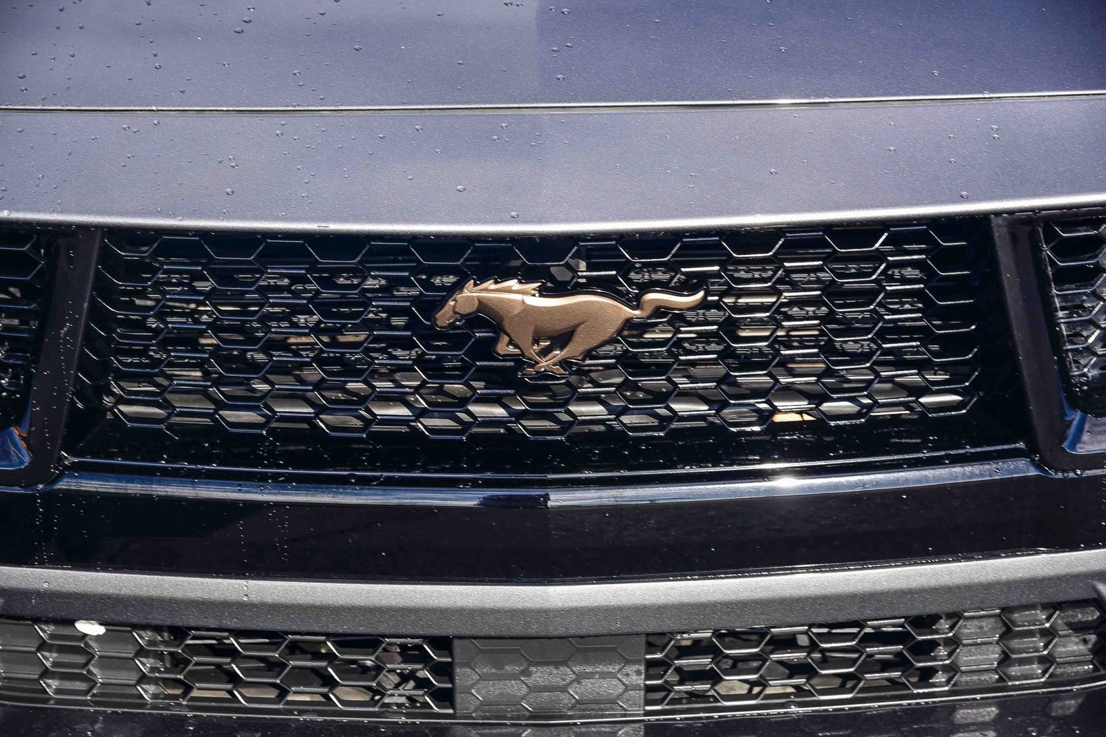 Certified 2024 Ford Mustang GT Premium image 11