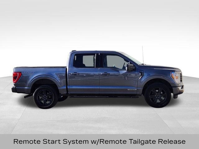 Certified 2023 Ford F150 XLT w/ Equipment Group 302A High image 6