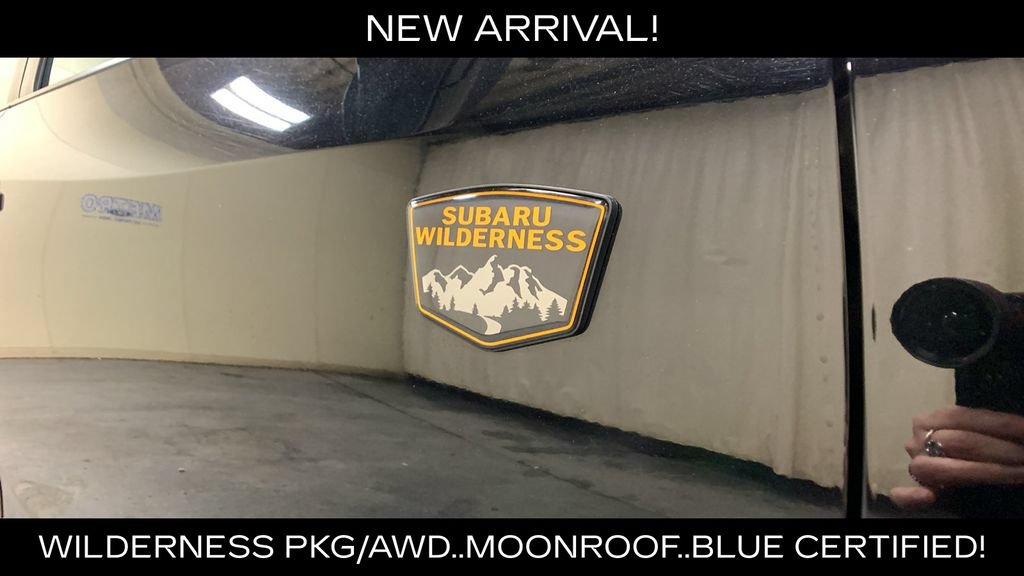Used 2024 Subaru Outback Wilderness AWD/4WD image 10