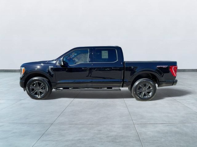 Certified 2023 Ford F150 XLT w/ Equipment Group 302A High AWD/4WD image 4