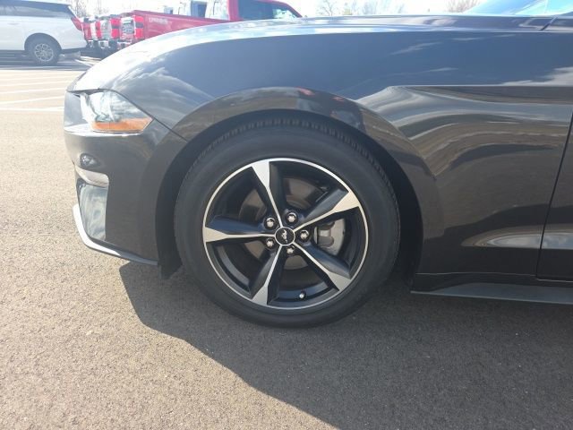Certified 2023 Ford Mustang EcoBoost w/ Equipment Group 101A image 15