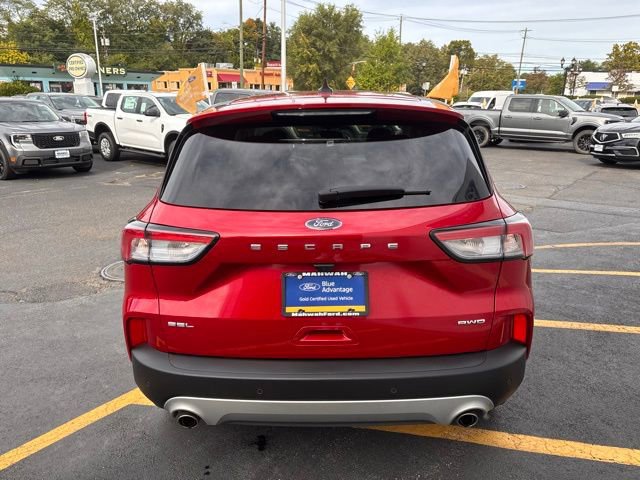 Certified 2022 Ford Escape SEL image 5
