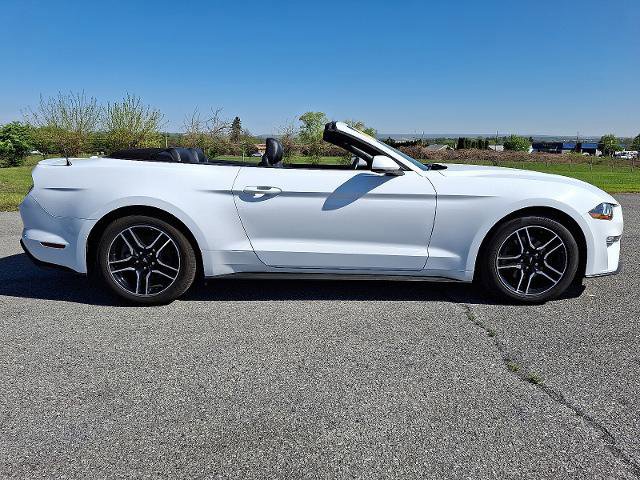 Certified 2023 Ford Mustang Premium image 6