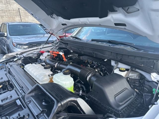 Certified 2024 Ford F150 Platinum image 47