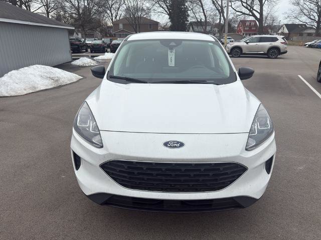 Certified 2022 Ford Escape SE w/ SE Sport Appearance Package image 8