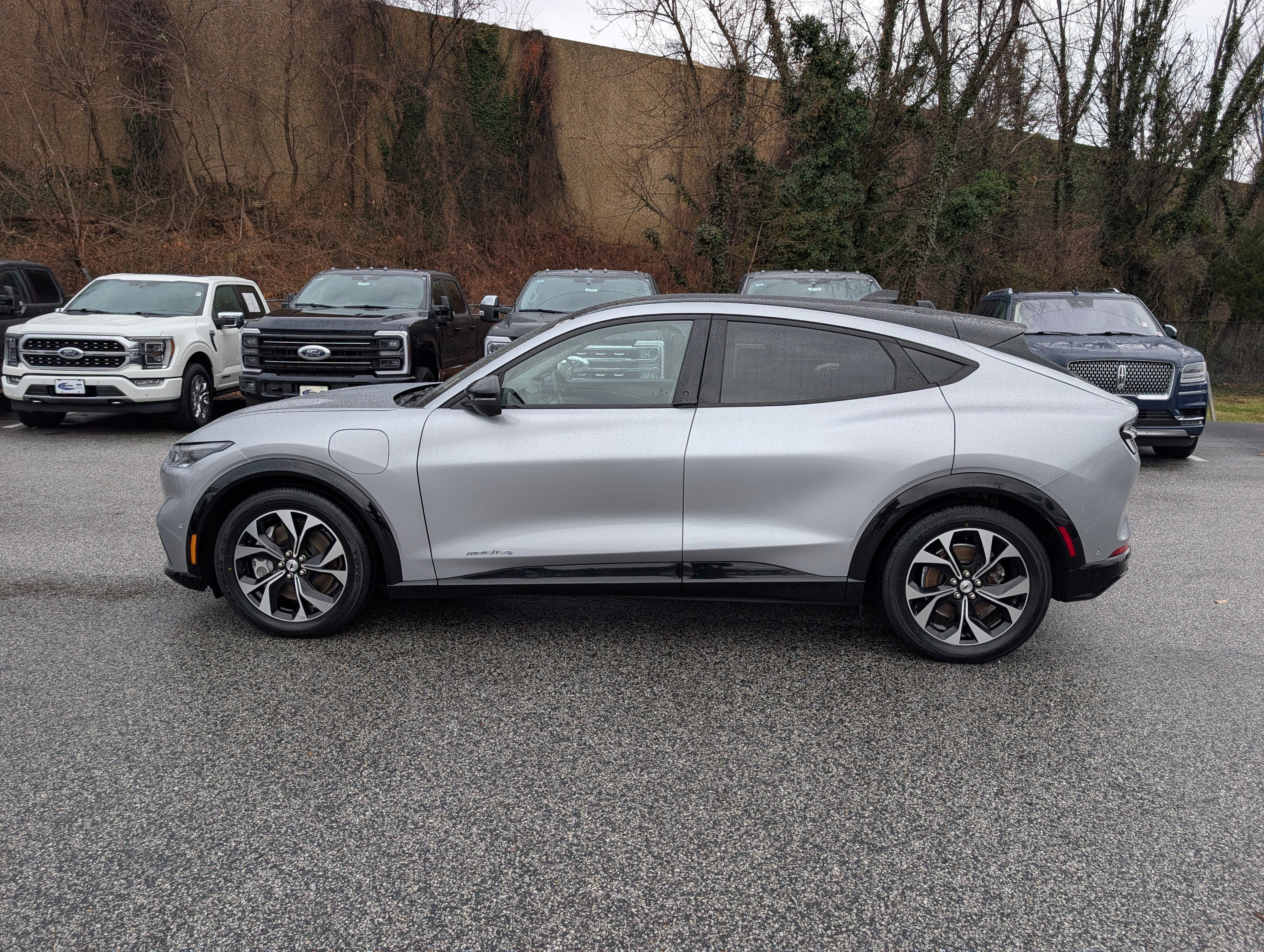 Certified 2021 Ford Mustang Mach-E Premium image 6