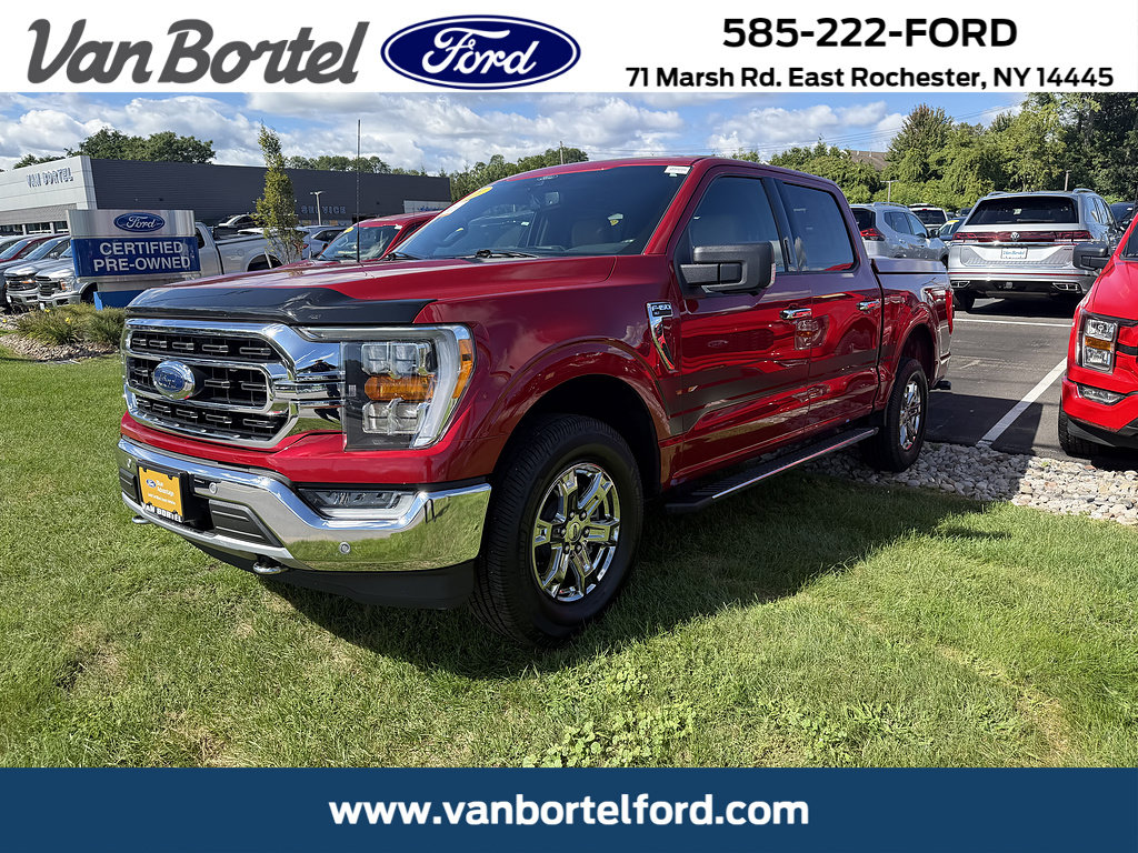 Certified 2021 Ford F150 XLT w/ Equipment Group 302A High AWD/4WD image 1