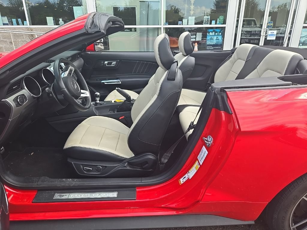 Certified 2019 Ford Mustang GT Premium w/ Ford Safe & Smart Package RWD image 15