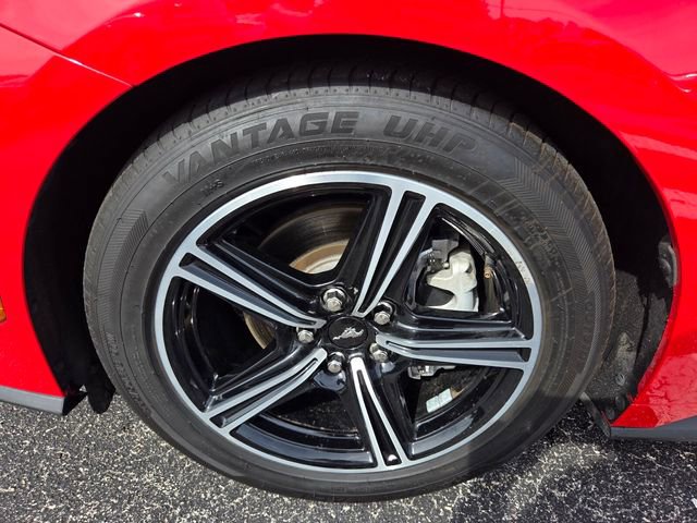 Certified 2024 Ford Mustang Premium RWD image 16