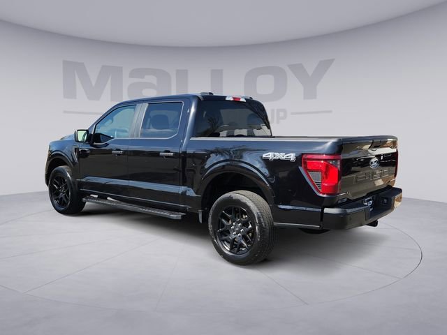Certified 2024 Ford F150 STX w/ STX Black Appearance Package AWD/4WD image 3