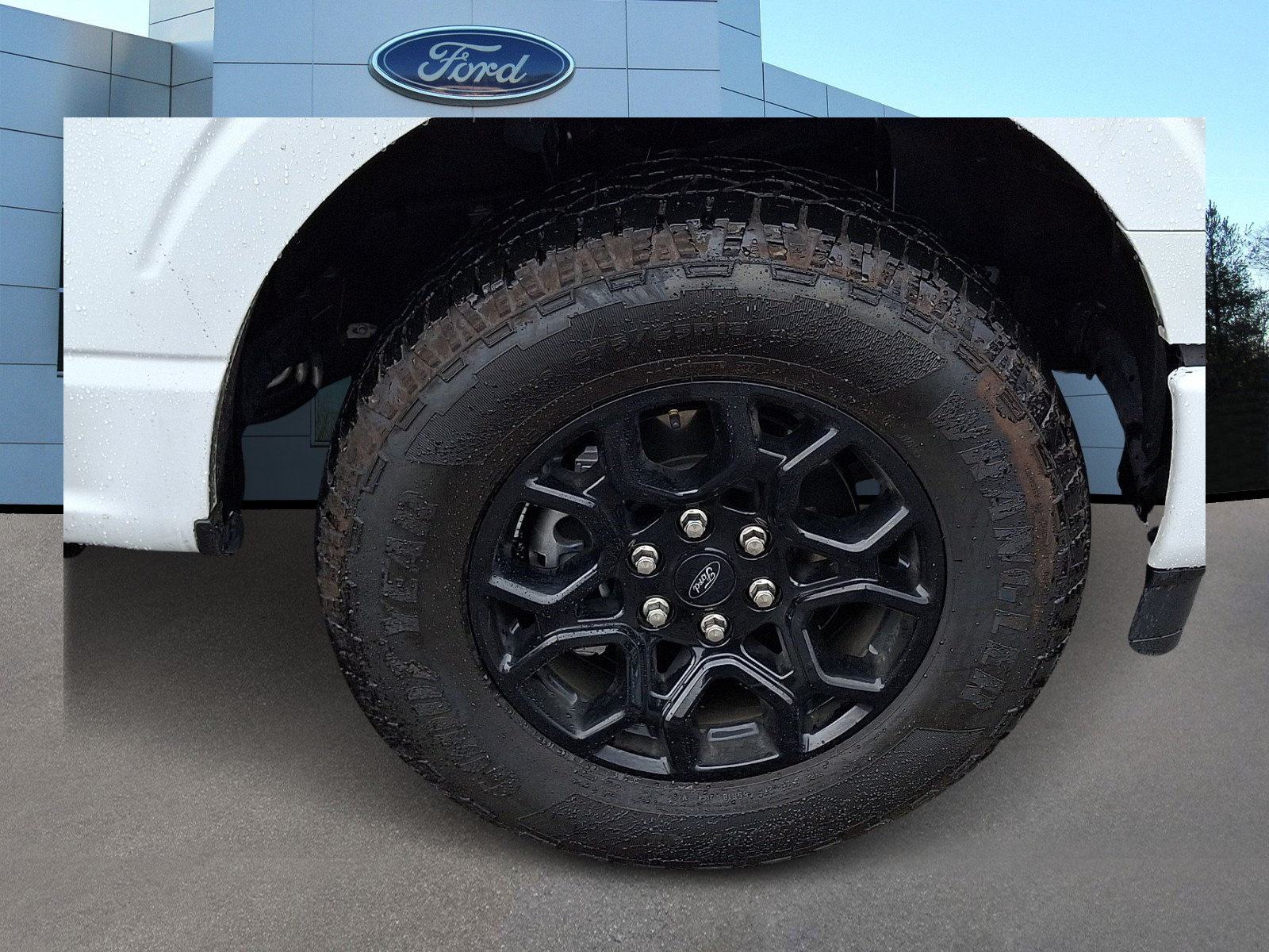 Certified 2024 Ford F150 XLT w/ Equipment Group 302A MID AWD/4WD image 10