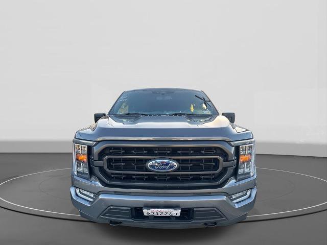 Certified 2022 Ford F150 XLT w/ Equipment Group 302A High image 3