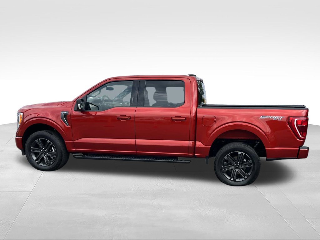 Certified 2023 Ford F150 XLT w/ Equipment Group 302A High AWD/4WD image 8