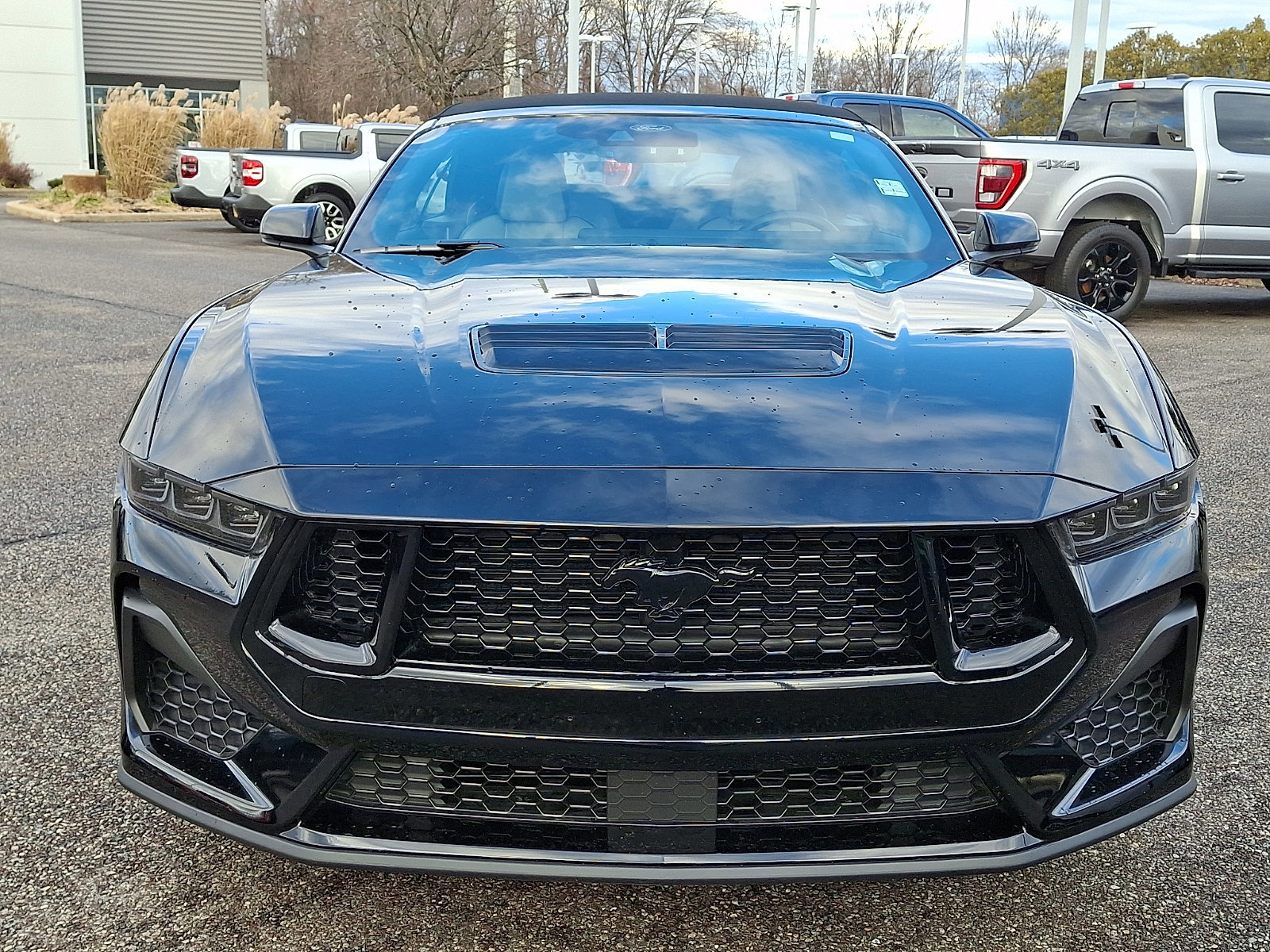 Certified 2024 Ford Mustang GT Premium image 12