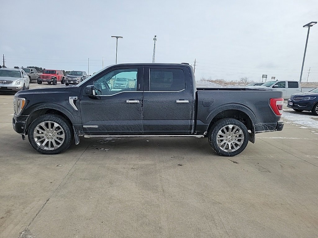 Certified 2023 Ford F150 Limited image 2