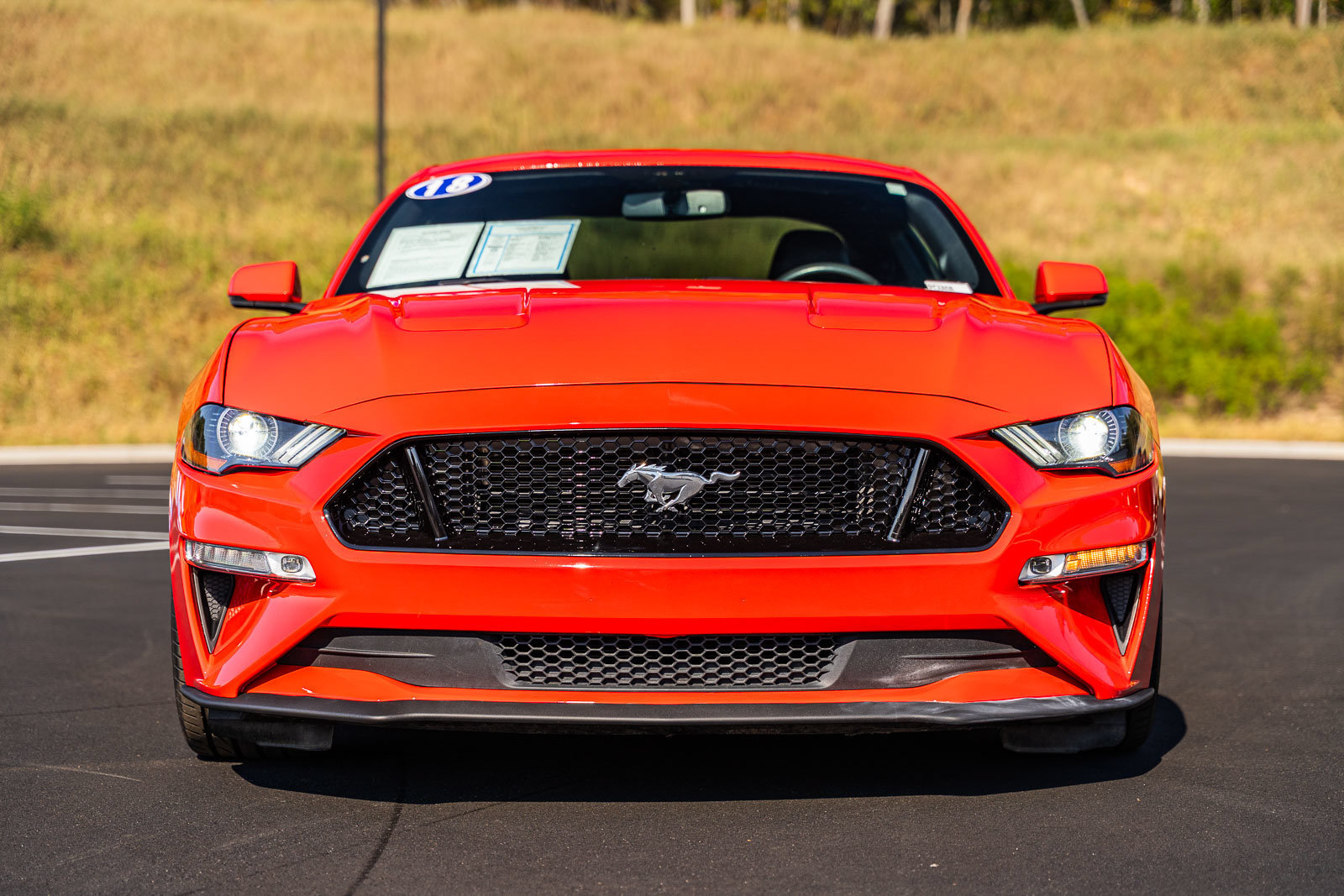 Certified 2018 Ford Mustang GT Premium RWD image 2