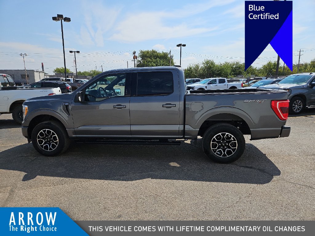Certified 2023 Ford F150 XLT w/ Equipment Group 302A High AWD/4WD image 7
