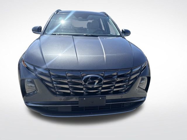 Used 2024 Hyundai Tucson Limited AWD/4WD image 12