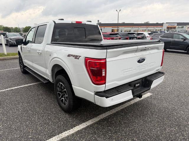 Certified 2023 Ford F150 XLT w/ Equipment Group 302A High AWD/4WD image 6
