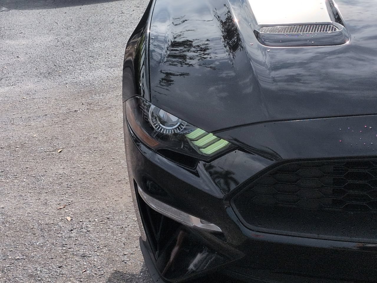 Certified 2020 Ford Mustang Premium w/ Equipment Group 201A RWD image 10