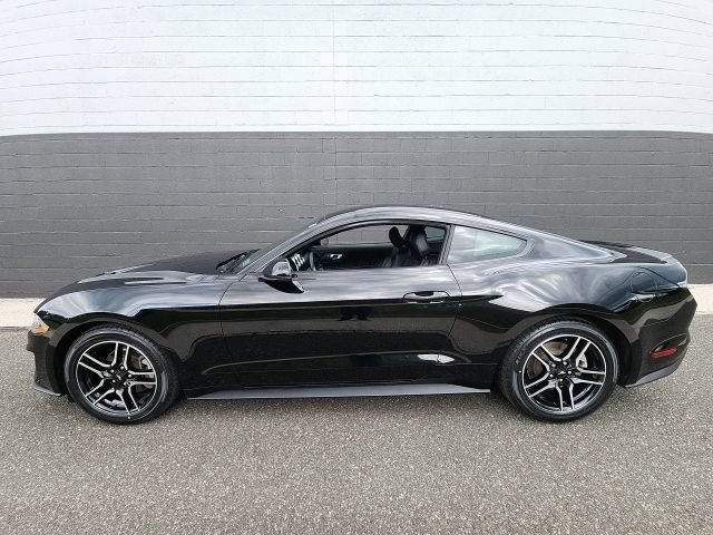 Certified 2019 Ford Mustang Premium RWD image 3
