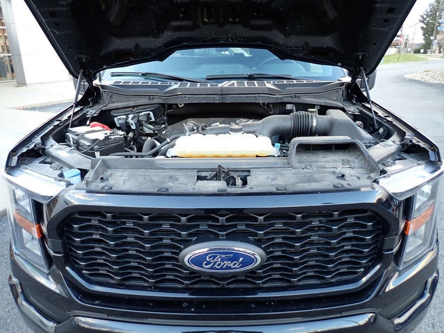 Certified 2023 Ford F150 XL w/ STX Appearance Package image 12