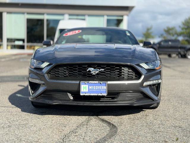 Certified 2019 Ford Mustang Coupe RWD image 12