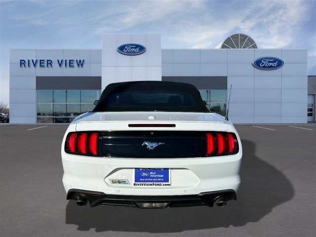 Certified 2022 Ford Mustang Premium image 3
