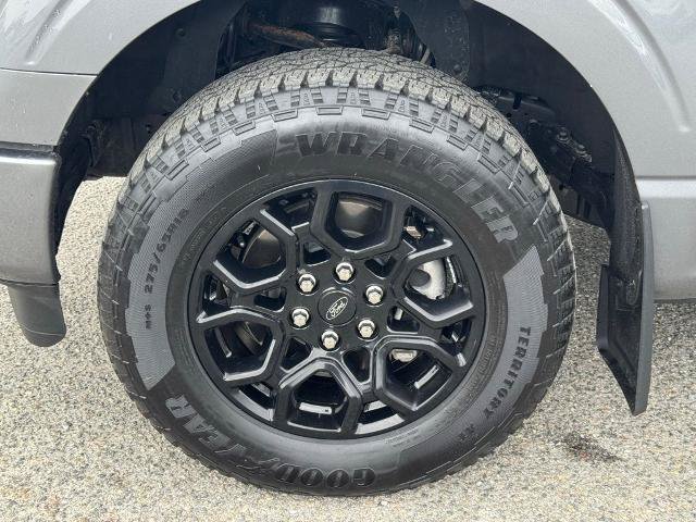 Certified 2025 Ford F150 XLT w/ Equipment Group 302A MID AWD/4WD image 12