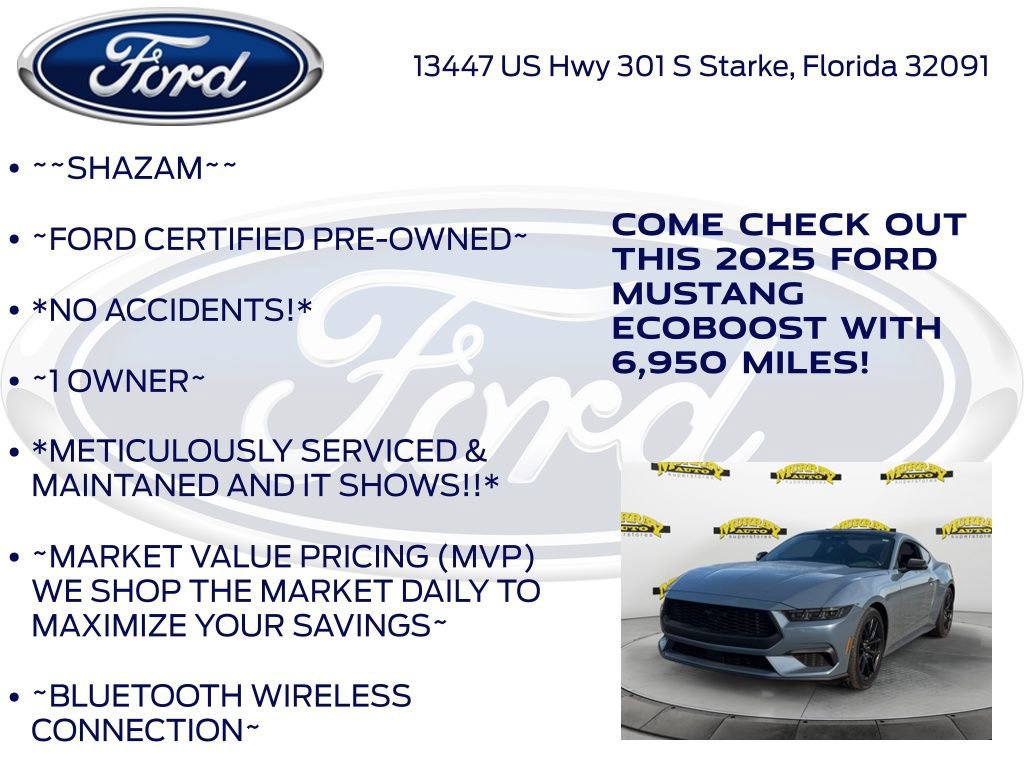 Certified 2025 Ford Mustang Coupe w/ Mustang Nite Pony Package image 10