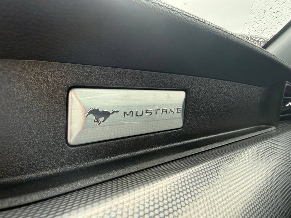 Certified 2019 Ford Mustang GT w/ Black Accent Package RWD image 23
