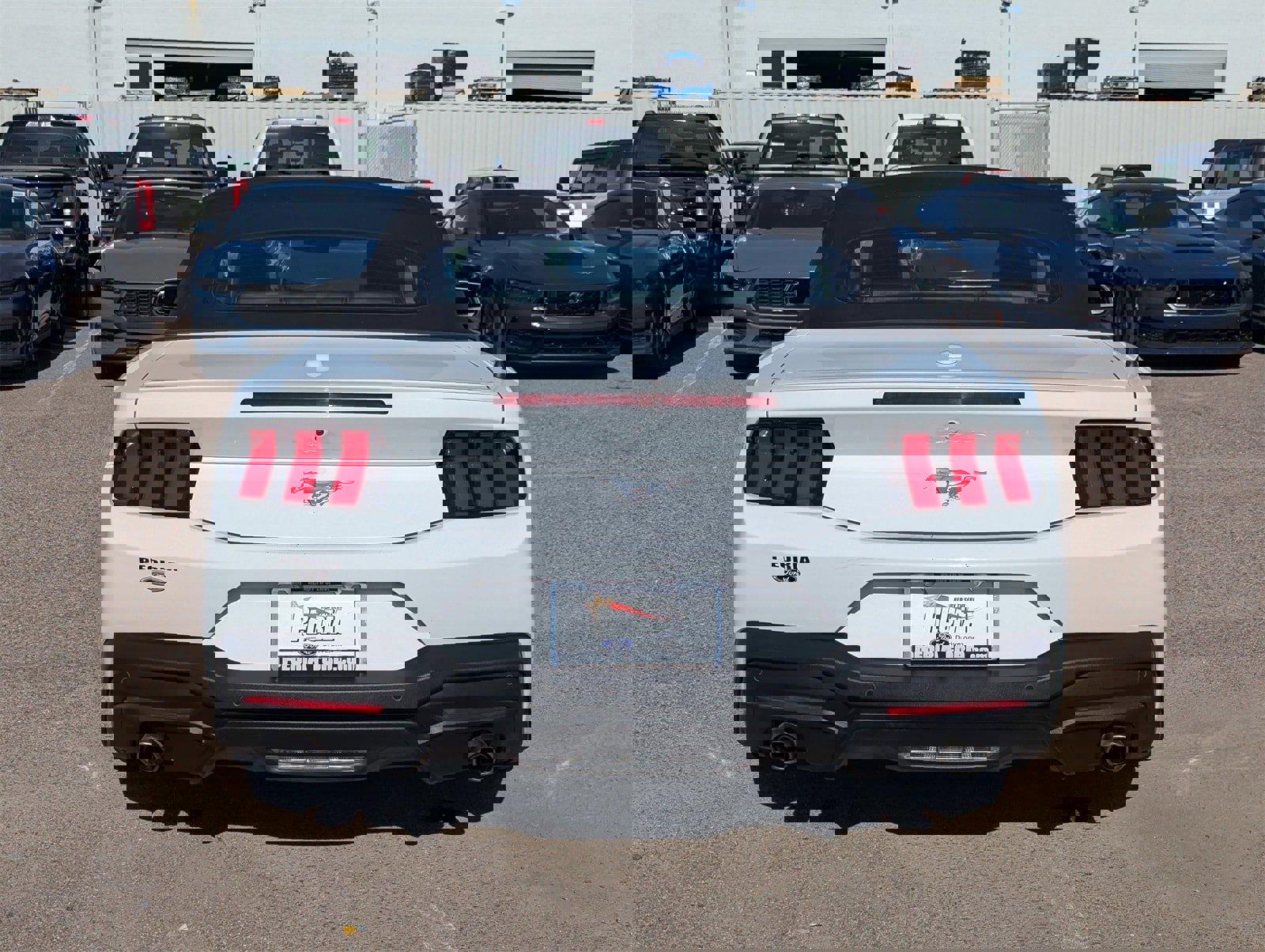 Certified 2024 Ford Mustang Premium image 4