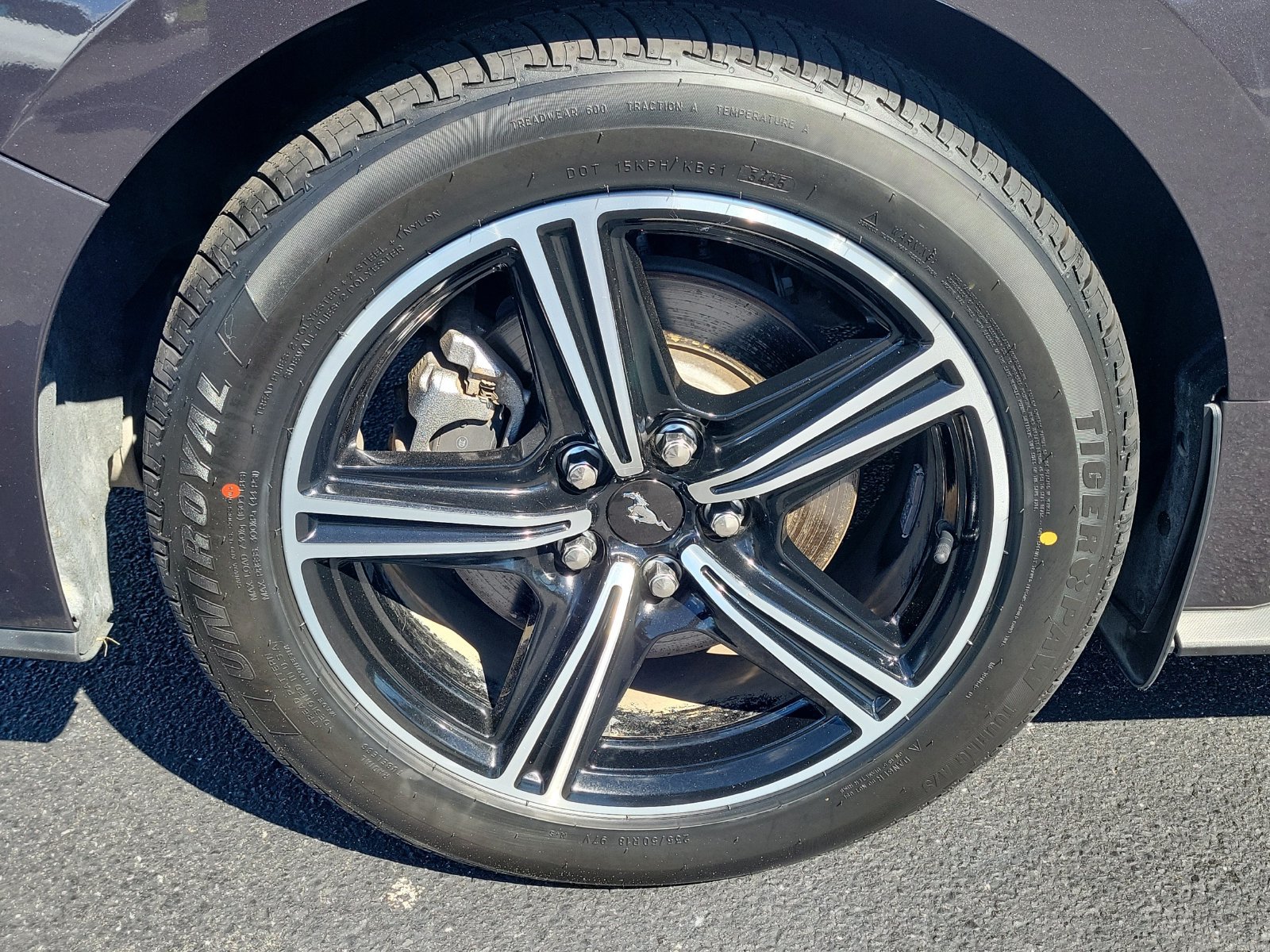 Certified 2024 Ford Mustang Premium RWD image 5