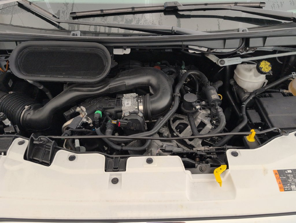 Certified 2025 Ford Transit 250 Low Roof w/ Exterior Upgrade Package RWD image 33