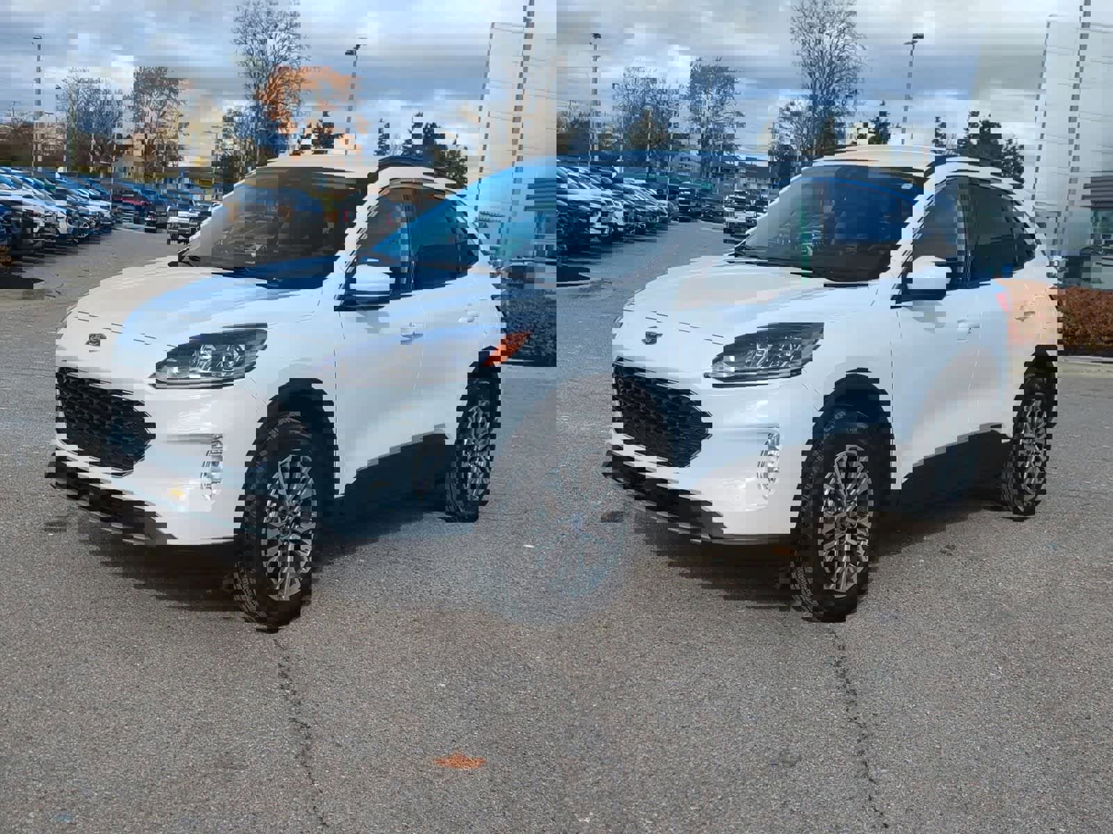 Certified 2022 Ford Escape SEL image 4