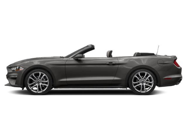 Certified 2022 Ford Mustang EcoBoost Convertible w/ Equipment Group 101A image 4