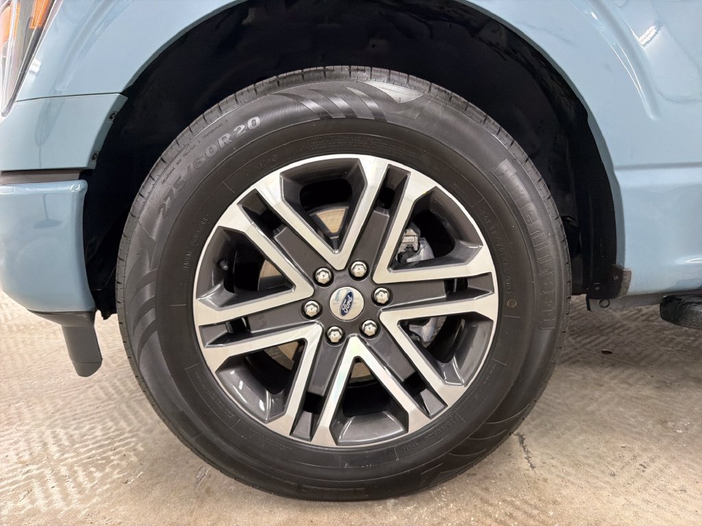 Certified 2023 Ford F150 XL w/ STX Appearance Package RWD image 14
