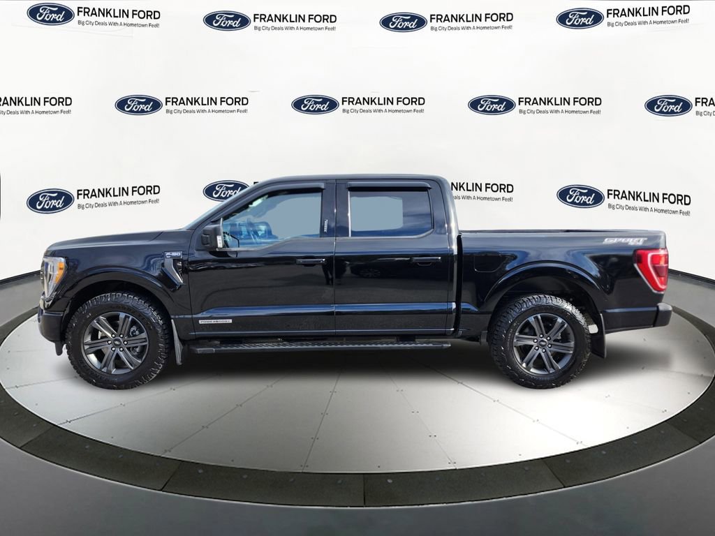 Certified 2023 Ford F150 XLT w/ Equipment Group 302A High image 2