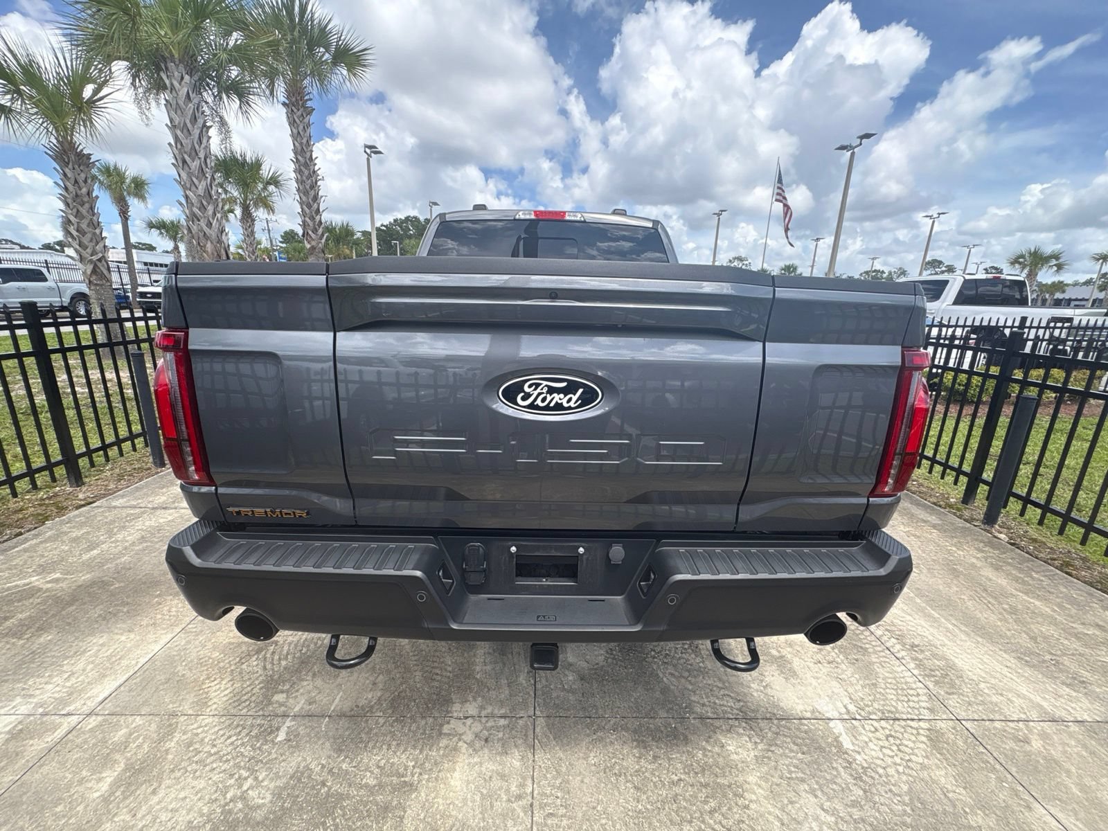 Certified 2025 Ford F150 Tremor w/ Equipment Group 402A High AWD/4WD image 6