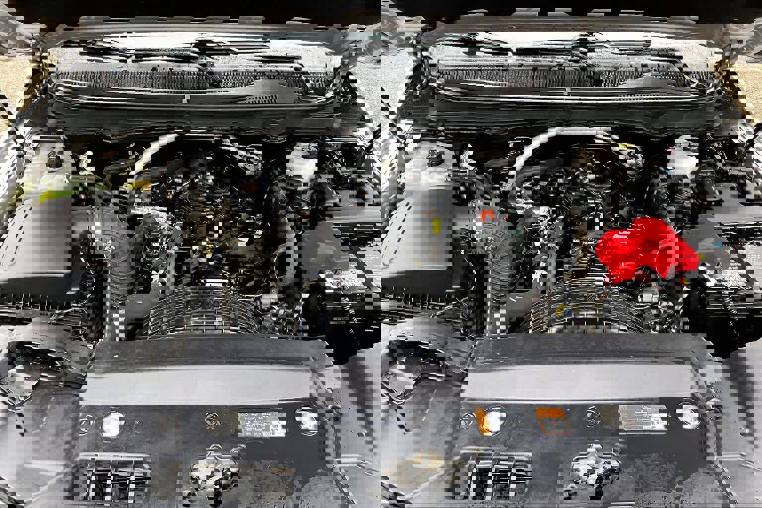 Certified 2019 Ford Ranger XLT w/ Equipment Group 302A Luxury image 32